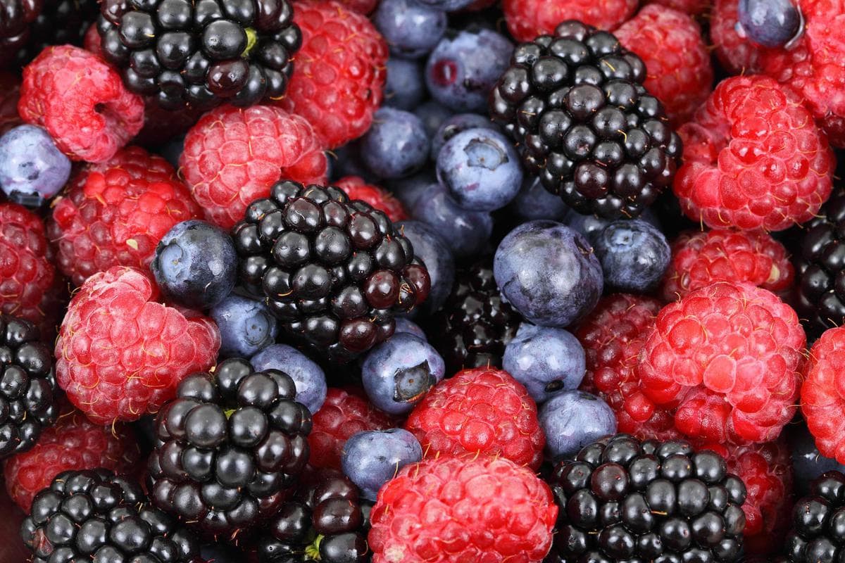 Closeup of raspberries, blueberries, and blackberries