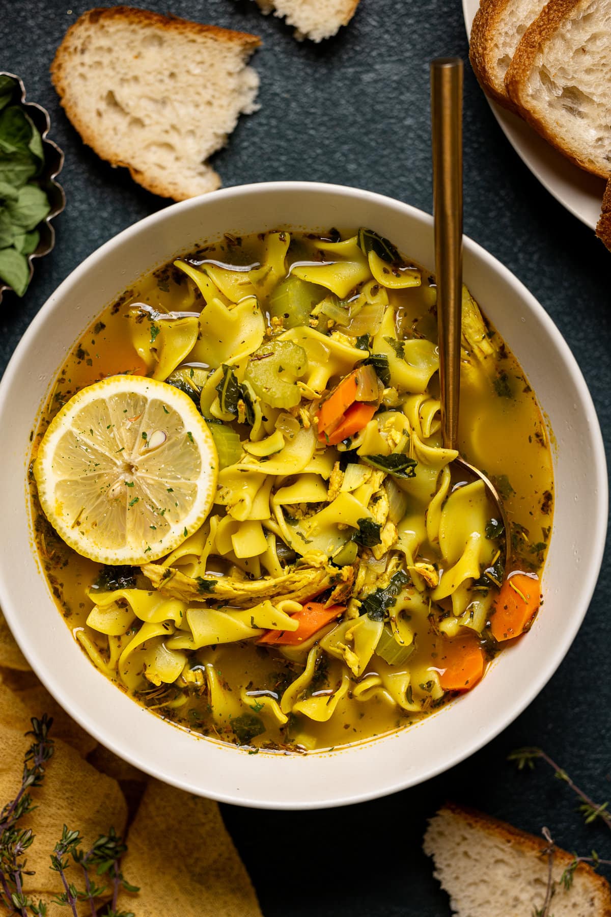 Closeup of a bowl of Nourishing Chicken Noodle Soup