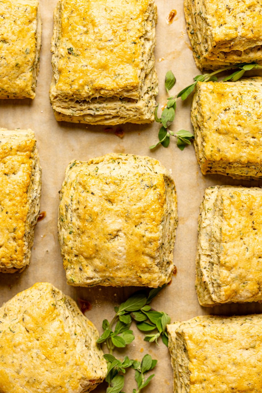 Biscuits lined side by side on a baking sheet with parchment paper and garnish of herbs.