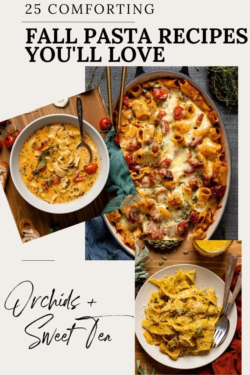 Image of roundup of pasta recipes.