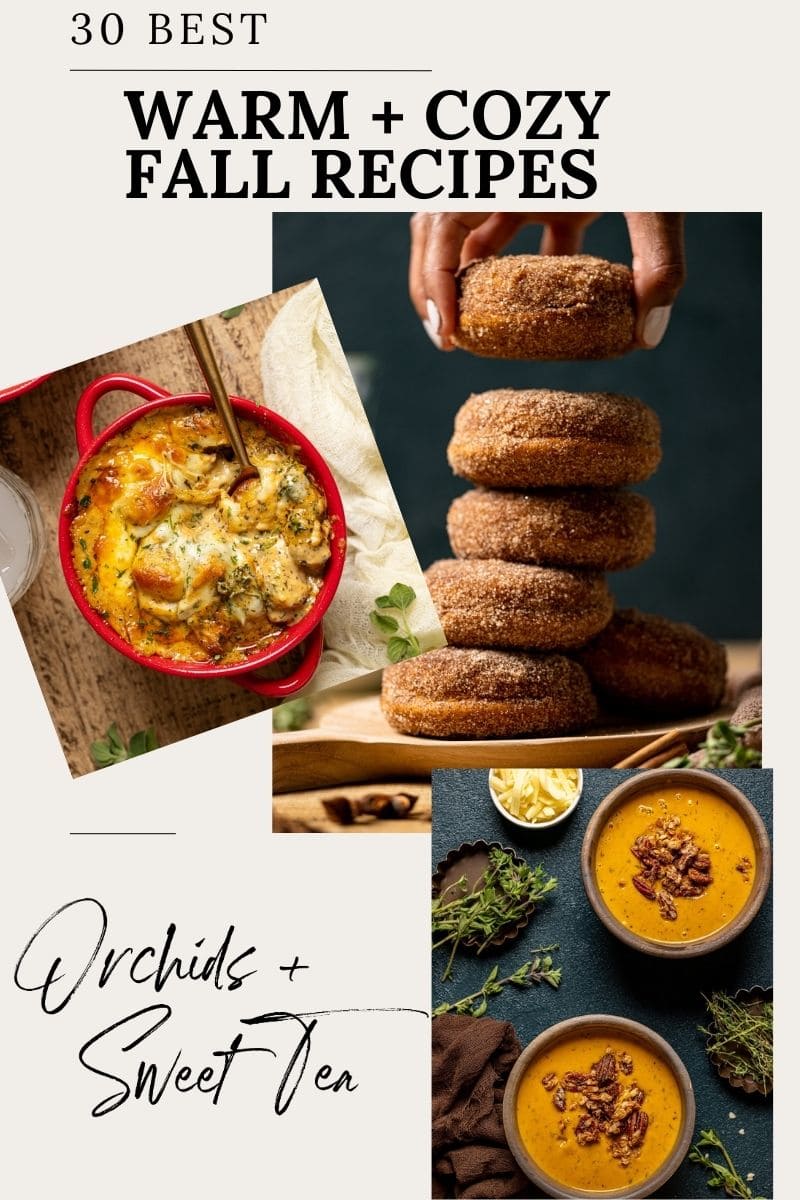 Image of donuts, soup, and baked gnocchi in a collage.