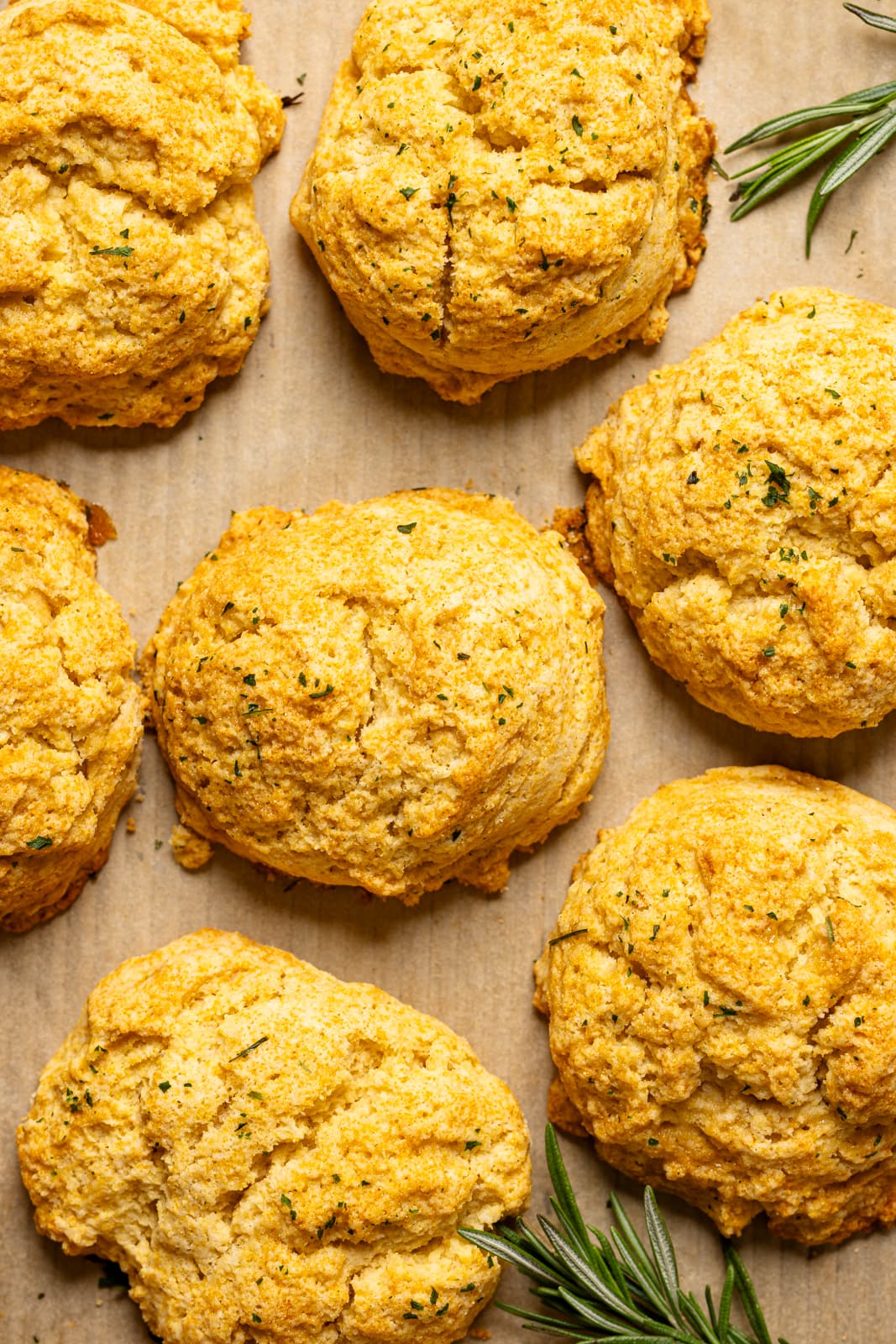 Up close shot of biscuits lined on a baking sheet with parchment paper.