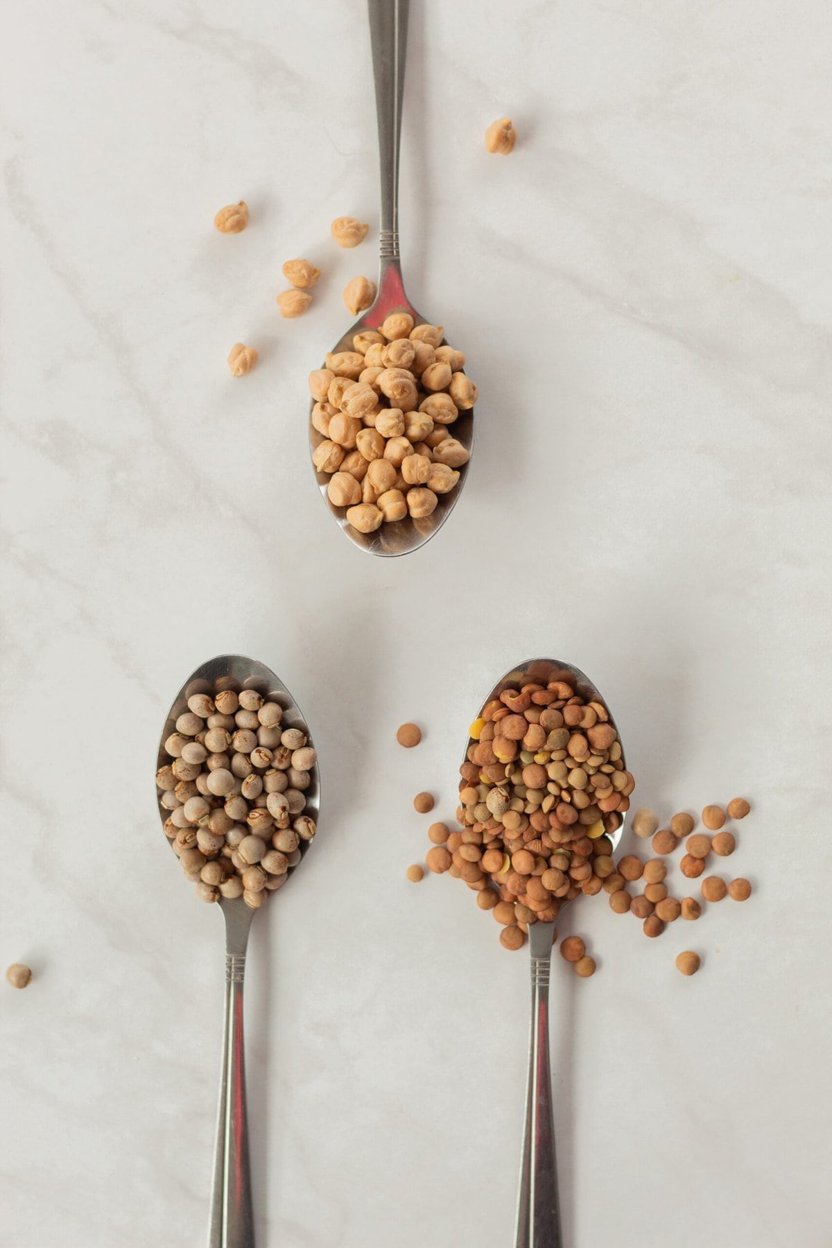 Chickpeas and lentils on spoons.