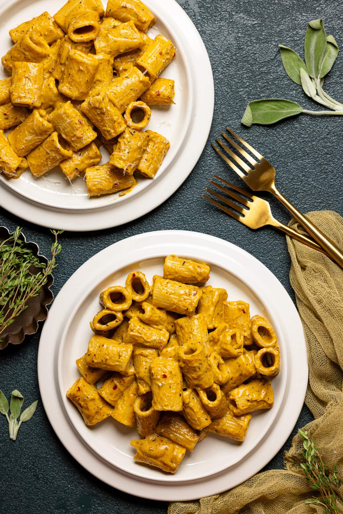 Two plates of creamy pasta in a white plate with two forks.