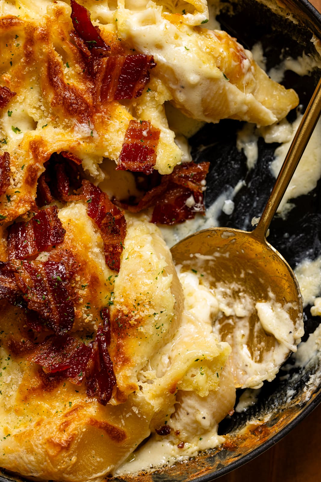 Up close shot of mac + cheese with a spoon.