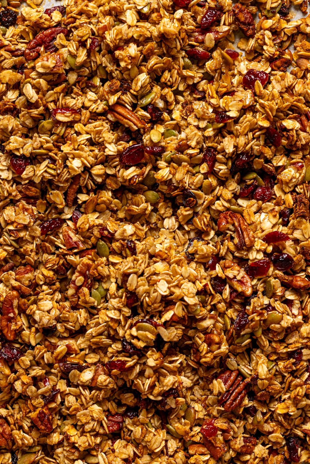 Up close shot of granola.