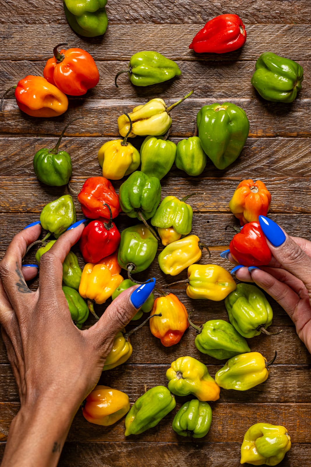 Scotch bonnet peppers on a brown wood table being held.