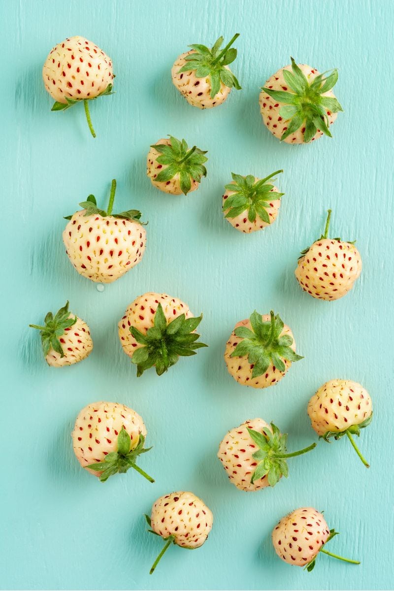 What Are Pineberries? Everything You Need To Know!