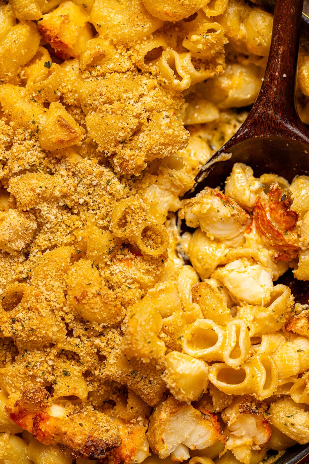 Up close shot of lobster mac and cheese.