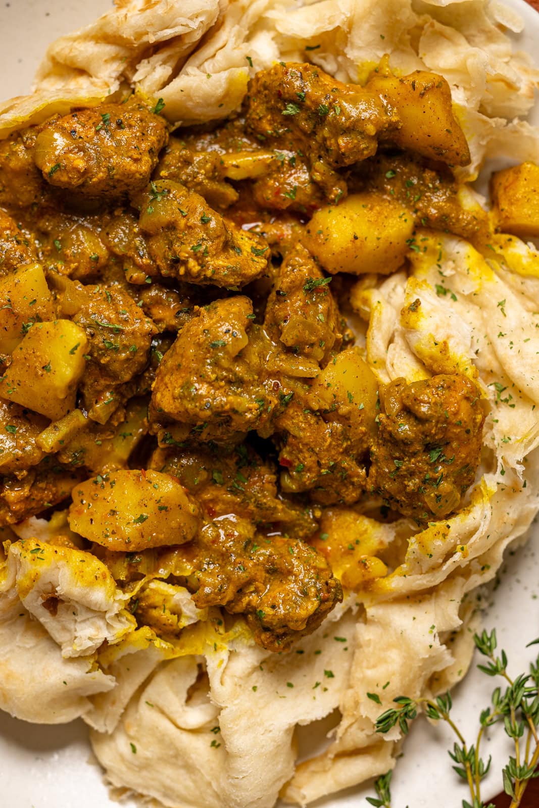 Up close shot of roti.
