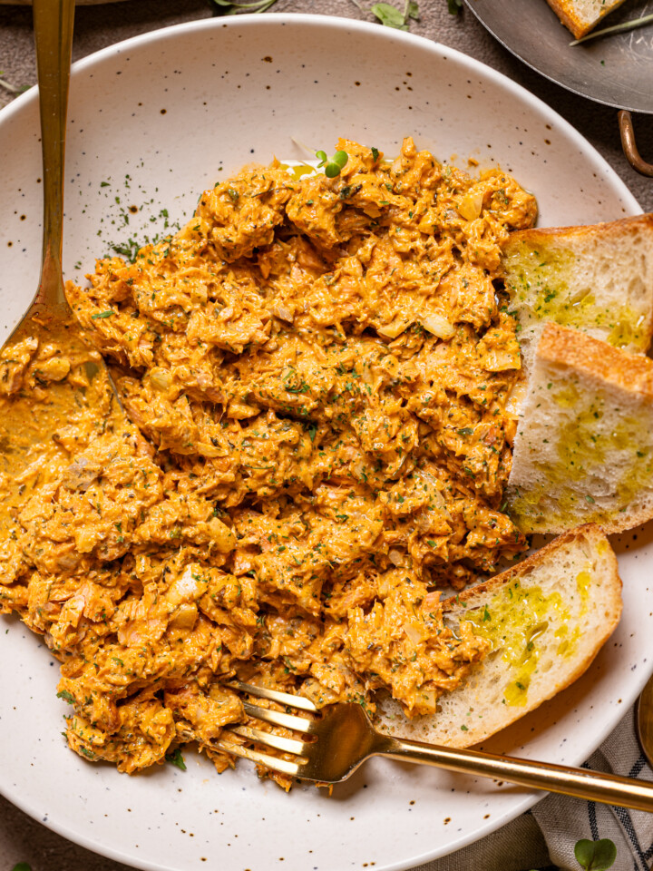 Up close shot of salmon dip on a plate.