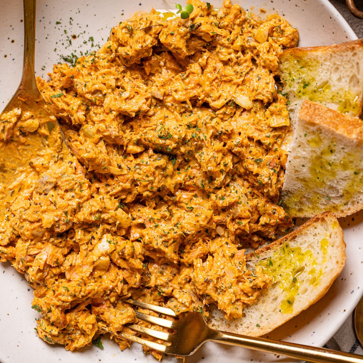 Up close shot of salmon dip on a plate.