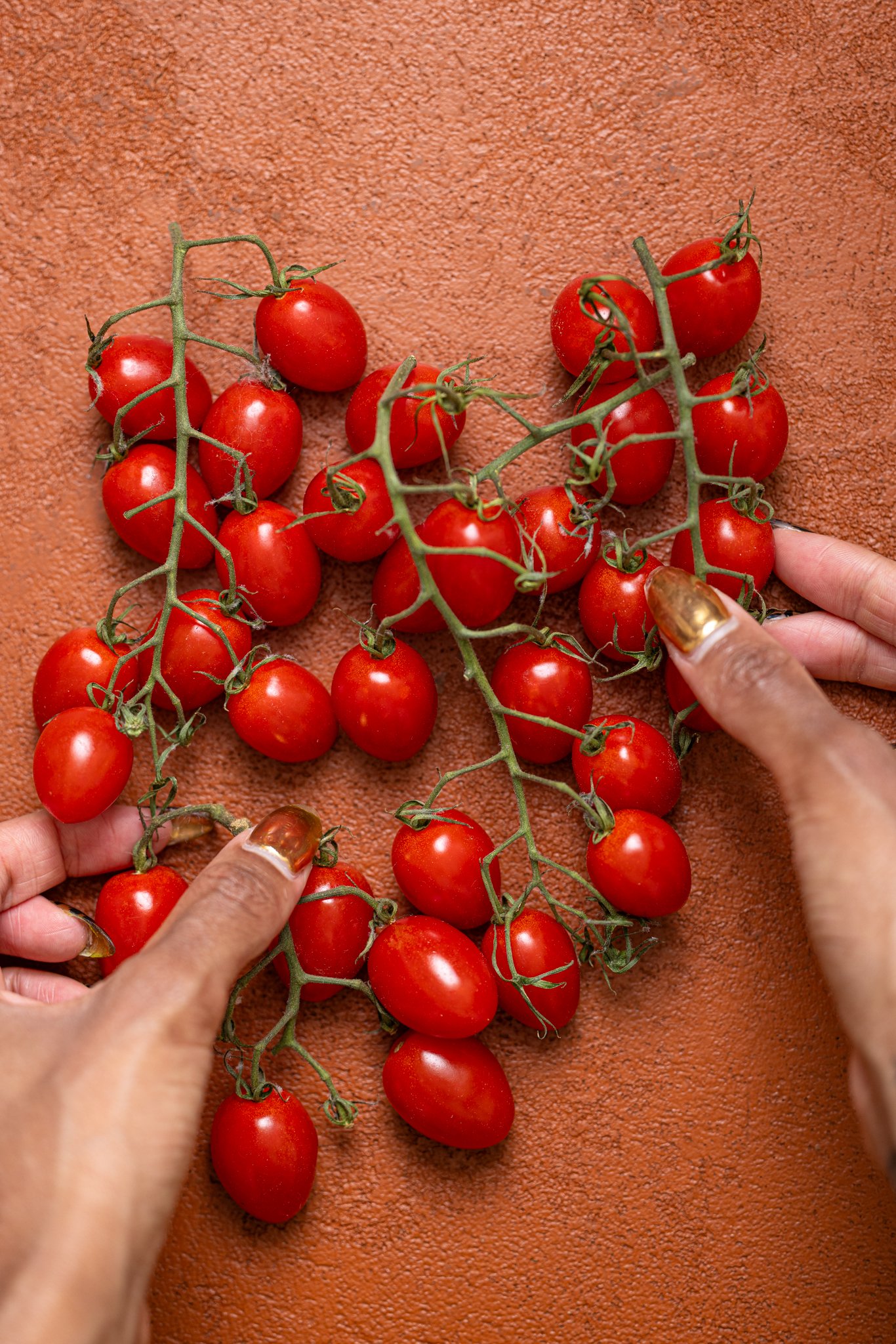 Tomatoes on a vine on a burnt orange table with woman hands.
