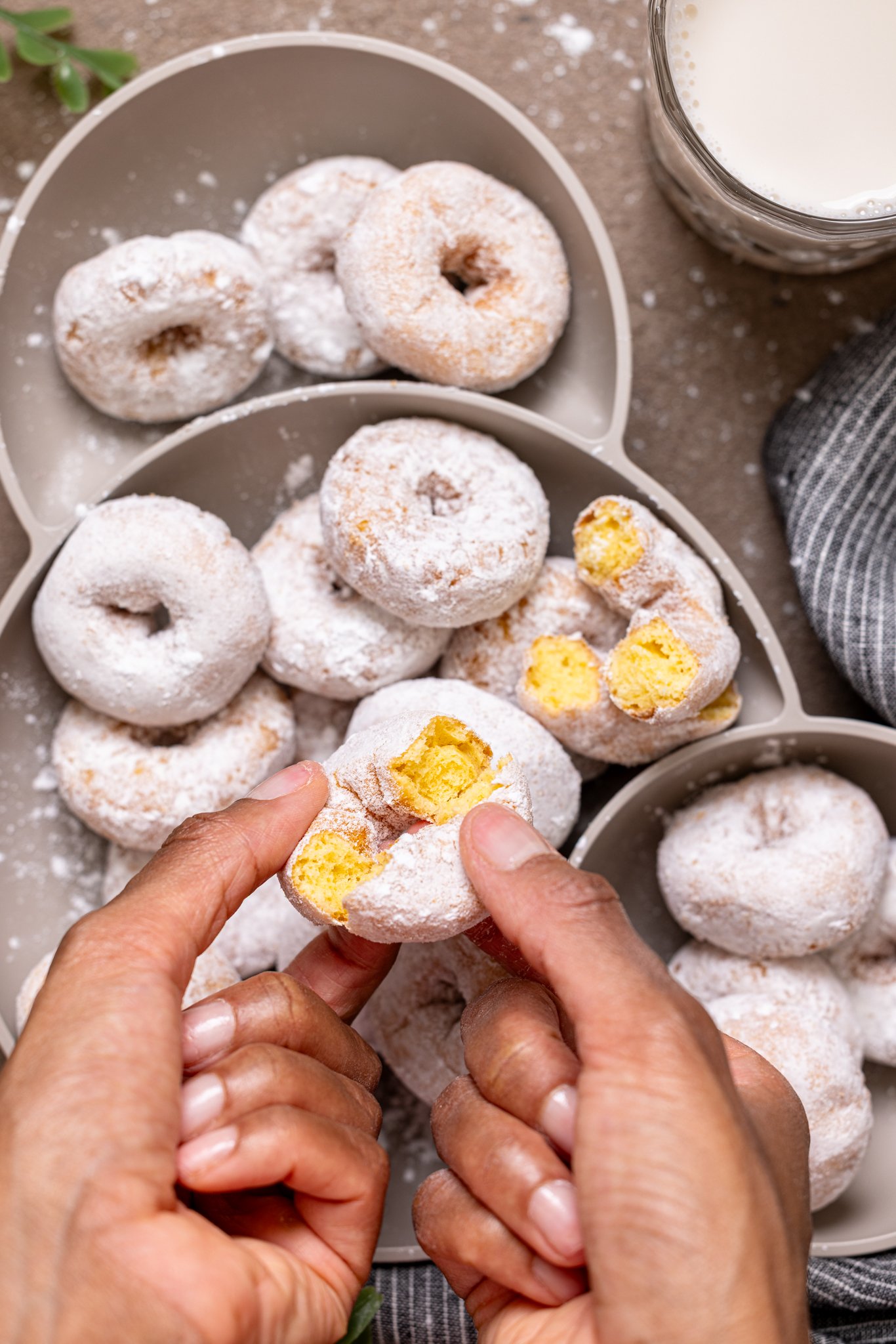 Woman hands holding a powdered sugar donut and breaking it in half.